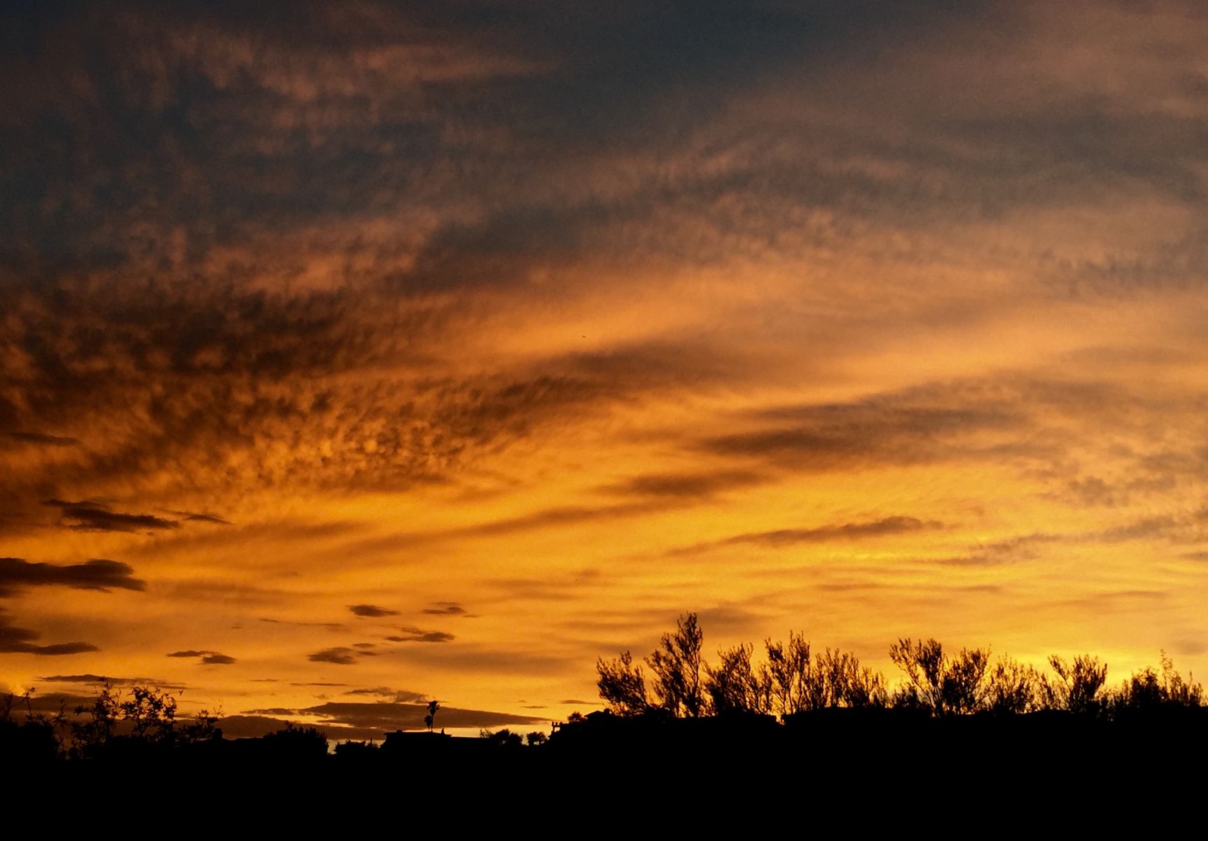 Saturday's golden sunset